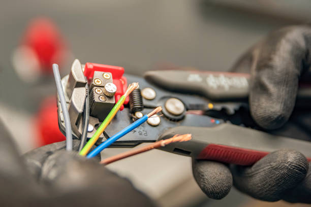 Best Electric Panel Repair  in Winnebago, MN