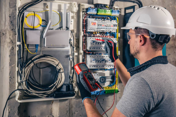Best Home Electrical Repair  in Winnebago, MN