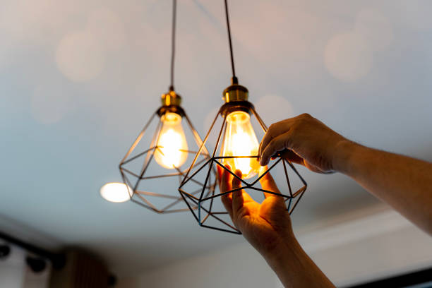 Best Electrical Outlet Repair  in Winnebago, MN